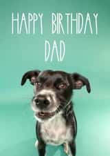 Happy Birthday Card for Dog Dads and Human Dads alike! created by The Yorkshire Pawtrait Co.
