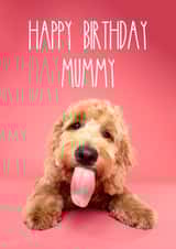 Goldendoodle Happy Birthday Mummy Greetings Card created by The Yorkshire Pawtrait Co.
