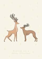 Wishing you a merry christmas created by Goldie Design Studio