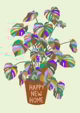 Cute New Home card - featuring a colourful monstera/cheese plant. created by Chloe Cooper