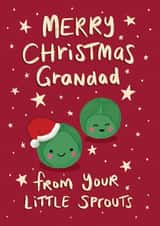 Cute Christmas Card for Grandad - from the grand kids - Two Little Sprouts created by Tilly Bean Loves