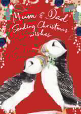 Beautiful Mum & Dad - Merry Christmas Puffins - Cute Watercolour Wildlife created by Miss Meaney's