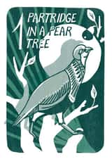 "Partridge in a pear tree" Fun Christmas card from 12 Days of Christmas Series created by Kati Lacey Illustration