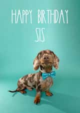 Cute Dachsund Birthday Card for Sister created by The Yorkshire Pawtrait Co.