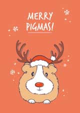 Guinea Pig Reindeer Christmas Card created by Goofy Guineas