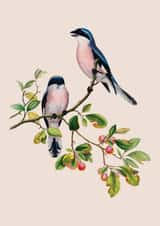 Any Occasion Vintage Birds Card - Loss, Thinking of You - Traditional Art created by eo design & photo