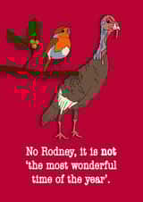 Funny Christmas Card - turkey and robin. created by Dragonfly Artworks