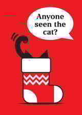 Cute Christmas card, purr-fect for cat lovers - Stocking - Anyone
seen the cat? created by Haywood House