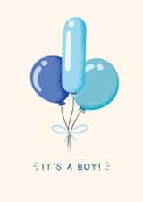 It's a boy! Funny Balloons Baby Boy Congratulations Card created by Studio Mads