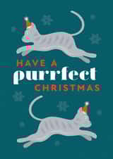 Cute Christmas Card for a Cat Lover created by X, Y & Z Design