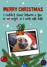 Personalised Christmas Photo Card created by Woody's Design - Cute Christmas photocard pet or child