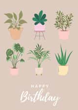 Cute aesthetic birthday card for plant lover created by Savv-E Designs