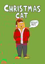Christmas Cat Alright created by Tom Delves Illustration