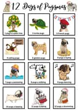 12 Days of Pugsmas, Pug Christmas Card created by Cheeky Tito