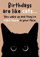 Cute Cat Birthday Card - Birthdays Are Like Cats - Funny - Cat - For Her created by Designs By Andy