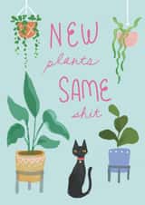 Cute and Cheeky Card for the Plant Lover in your life - Houseplants - Funny Card created by Anne Berry