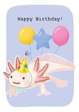 Happy Birthday Card - Axolotl - Unusual Animals - Quirky Party Card - Cute created by Illustrated by Aimee