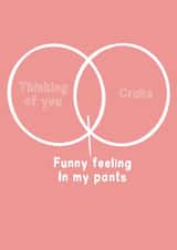 Funny feeling in my pants vendiagram card. created by The Crude Card Company