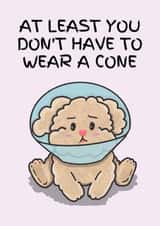 Get well card with sweet dog in neck cone created by Studio DBT
