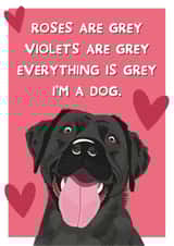 Anniversary Dog Card created by From The Dog