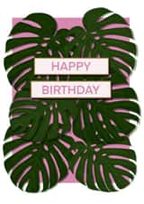 Contemporary Birthday Card for Relative/Friend - Monstera House Plant created by DC Cards
