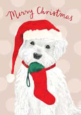 Cute Christmas Card - Dog With Stocking - Merry Christmas created by Louise Tiler