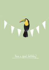 Sweet Birthday Card For Friends/Family - Toucan Bunting - Have a great birthday created by Heather Marshall
