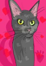 Cute cat card for any cat mad fan for any occasion created by Higgledy Prints