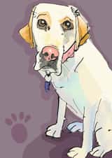 Gorgeous doe eyed Labrador card for any occasion created by Higgledy Prints