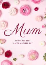 Mother’s Day - your the best - Happy Mother’s Day - Flowers - Pretty Card created by Hindlet Hideaway 