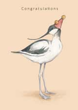 Congratulations - avocet bird in party hat created by Dani Williams