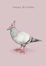Happy birthday pigeon in party hat created by Dani Williams