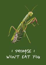 Card for Boyfriend / Husband - Praying Mantis - I Promise I Won't Eat You created by Toadstools and Frogsofas