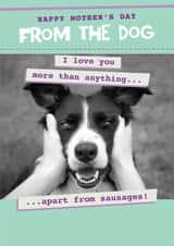 Funny from the dog mother's day card - cute doggie I love you... created by Quitting Hollywood
