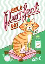 Cute Birthday Card - Purrfect - Cat created by Jacqueline Colley