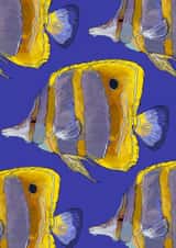 Cute Fish Card - Blank Card created by K Finn Designs