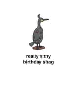 Funny Birthday Card - Filthy Shag - Pun created by mungo and shoddy
