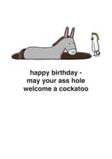 Funny Birthday Card - Cockatoo - Pun created by mungo and shoddy