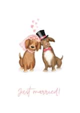 Cute dachshunds 'just married' wedding card created by LeopardyNonsense