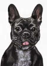 Cute All Occasions Card - French Bulldog created by Designs by Vivi