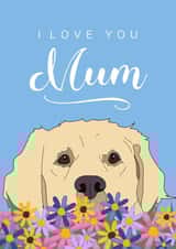 Cute Mother's Day card - Golden Retriever - Love you Mum created by Dolli Does Design