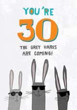 30th birthday card - grey hairs (hares) created by Pencilface