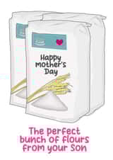 Perfect flowers from your son card - flour - funny created by Silly Sentiments