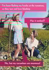 Funny blushing tomatoes & enormous growing cucumbers - cheeky Veg shortage Retro created by Quitting Hollywood