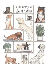 Happy Birthday Puppy-Lover! Birthday Card created by Erlenmeyer