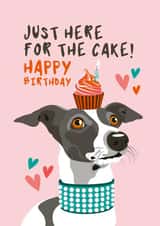 Cheeky Birthday Card - From the Dog - Just here for the cake created by Diva Doodle Designs