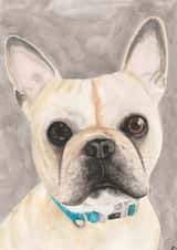 Cute card for dog lovers. created by Alex M Illustrates