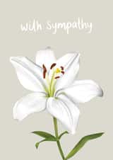 Cute Sympathy Card - Casablanca Lily created by Fliss Muir