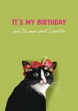 I'll Wear what I want Card | Fun Cat Birthday Card created by Robyn May Henry