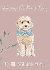 Happy Mother’s Day to the best dog mom! created by 25Seven